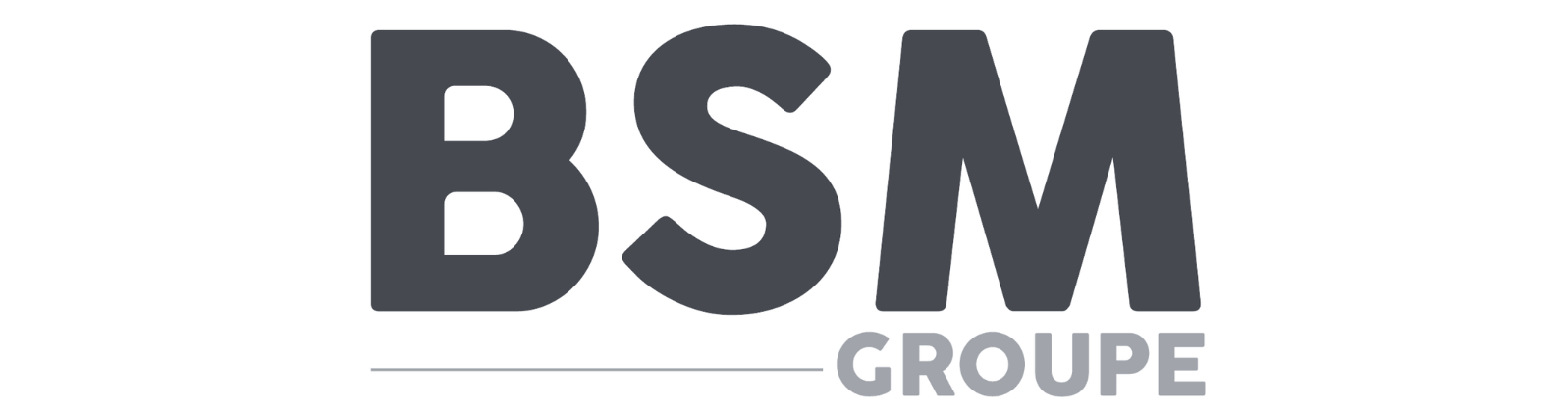 logo bsm